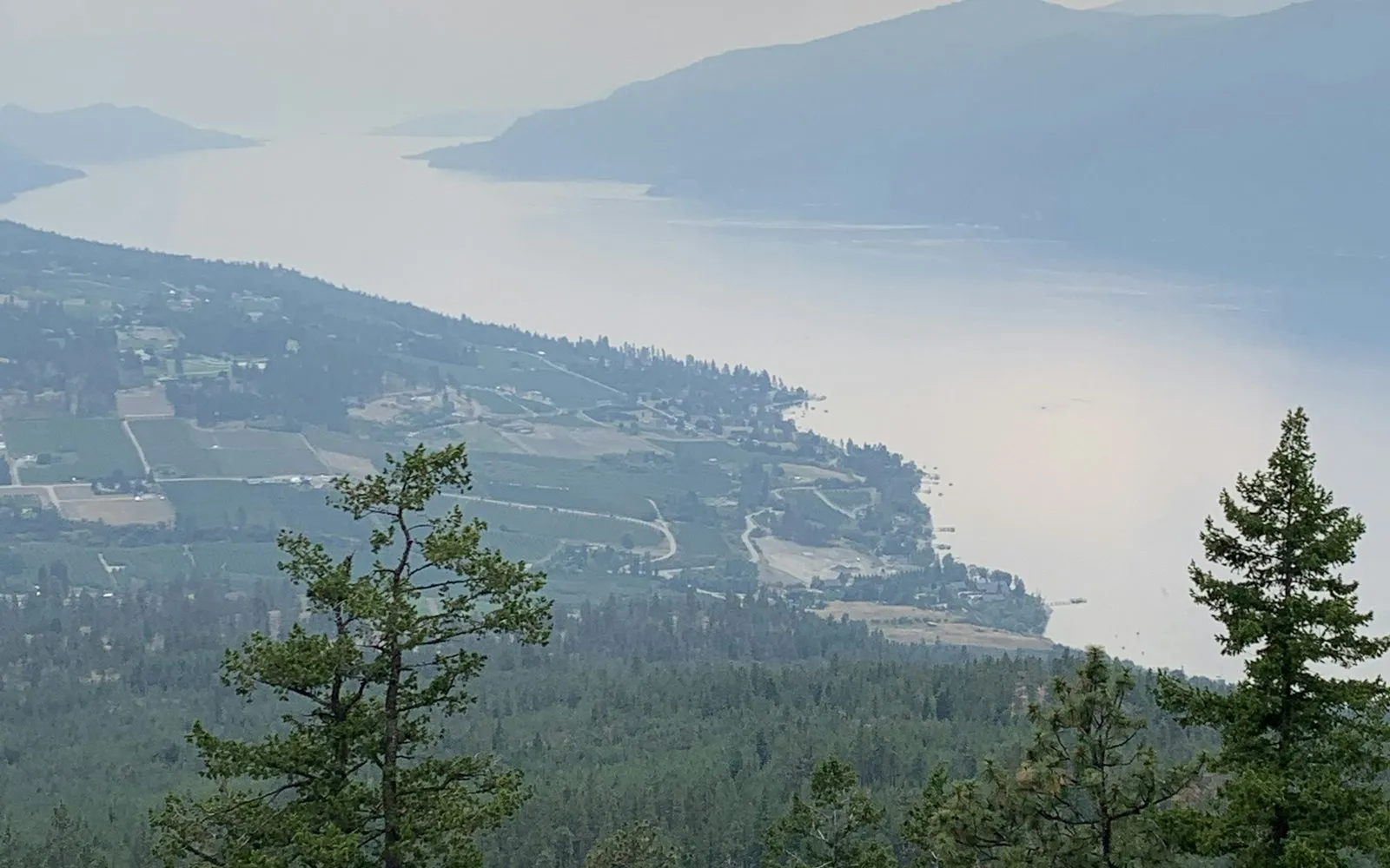 Benchland lots above a lake in the BC Interior, pines in the foreground
